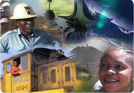 Les entreprises publiques