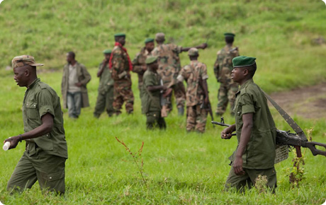 Groupe armé du Nord Kivu